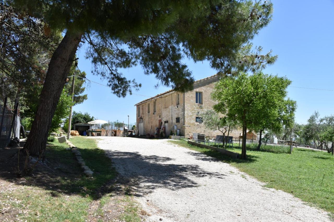 Fattoria Country Village Montecarotto Dış mekan fotoğraf